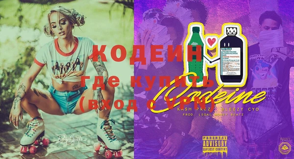 дурь Краснослободск