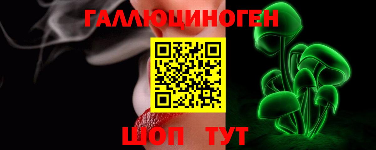 Псилоцибиновые грибы Psilocybe  Вход с VPN  Лиски 